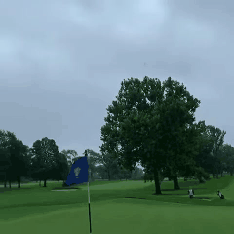 335.gif